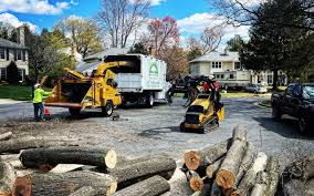 Best Lot and Land Clearing  in Storm Lake, IA